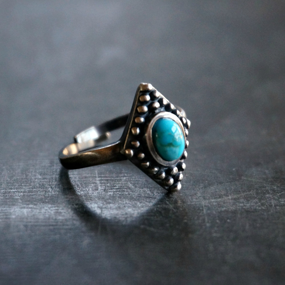 
                  
                    Bahman Turquoise Ring - SOWELL JEWELRY
                  
                